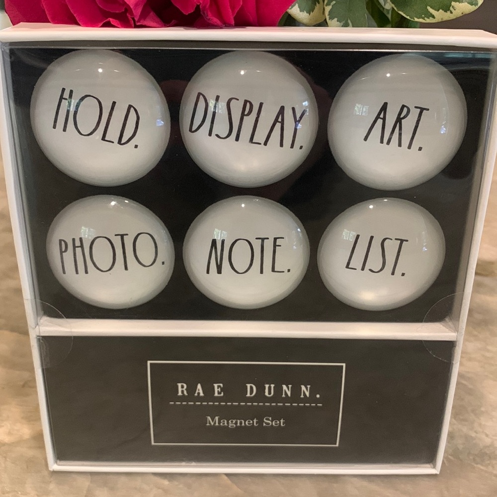 Rae Dunn magnet set s/6 glass dome magnets